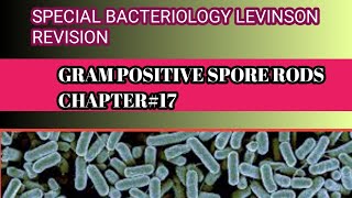 Revision of Levinson chapter17  gram positive spore forming rods [upl. by Moitoso]