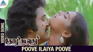 Kozhi Koovuthu Tamil Movie Songs  Poove Ilaiya Poove Video Song  Prabhu  Silk  Ilayaraja [upl. by Linell]