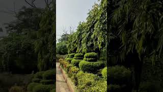 B Garden  Botanic garden Shibpur Howrah  gardens  travel  short [upl. by Enyad]