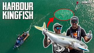 Kingfish Madness Epic Harbour Fishing With Stick Bait Lures In Tauranga S9 Ep4 [upl. by Htir]