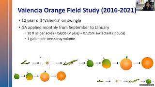 Use of Gibberellic Acid Treatments to Improve Health and Yield of HLB Diseased Trees [upl. by Mayyahk]