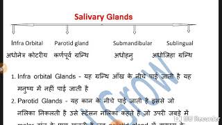 Salivary glandsलार ग्रंथि  Part4 [upl. by Ninnette]