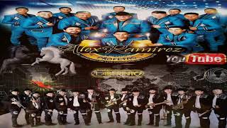 Alex Ramirez Y Su Grupo Profetas Vs Grupo Laberinto  Corridos De Caballos 2020 [upl. by Amer]