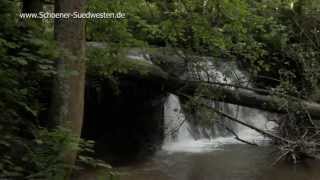 Das Strümpfelbachtal  urtümliches Tal im Schwäbisch Fränkischen Wald [upl. by Tu]