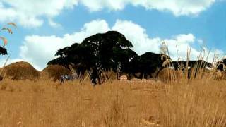 Zoo Tycoon 2 Radical Remake Official Sneak Peak [upl. by Aneelak]