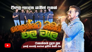 NELANNATA GIHIN 2024  ROOKANTHA ගුනතිලක WITH SACRIFICE BAND [upl. by Kessler706]