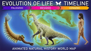 EVOLUTION OF LIFE Timeline  Animated prehistoric world map [upl. by Asikal]