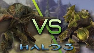 Halo 3 AI Battle  Flood Tanks vs Brutes [upl. by Elleuqar]