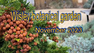 Vlog133  Wisley Garden is beautiful at any time [upl. by Charleen]