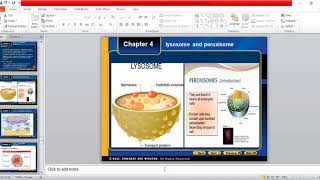 Structure and function of Vesicleslysosome and peroxisome for 9thfsc and BS level [upl. by Nitsuga]