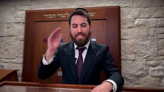 Sefiras HaOmer Interesting Halachos [upl. by Etna]