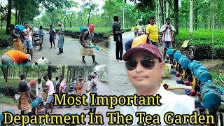 🏡 Adivasi People So Hard Work In Tea Garden  But He is Always Happy  userdvlogs225 [upl. by Molli669]