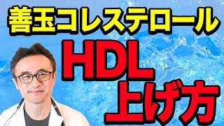 【HDL】善玉コレステロールを上げる２つの方法を医師が解説 [upl. by Ycnuahc267]