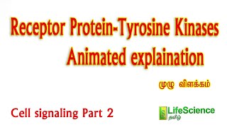 Receptor Protein Tyrosine Kinases in Tamil  LIFESCIENCE TAMIL  TRB ZOOLOGY  TNSET  TNPSC  NEET [upl. by Fabiolas]