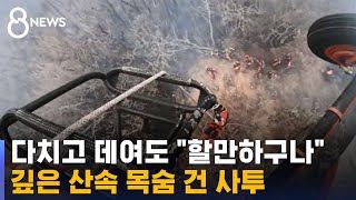 다치고 데여도 quot할만하구나quot깊은 산속 목숨 건 사투  SBS 8뉴스 [upl. by Yeh]