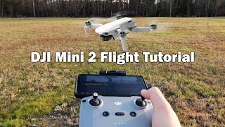 5 Tips to make the DJI Mini 2 even BETTER [upl. by Wayland558]