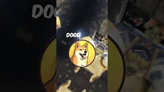 MEME BARU PESAING DOGECOIN [upl. by Annahsor]