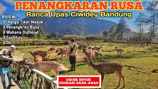 WISATA ALAM RANCA UPAS RANCA BALI PENANGKARAN [upl. by Way]