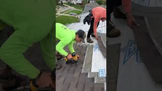 Roofing crew installing Teak Owens Corning shingles roofing owenscorning [upl. by Amadeo]