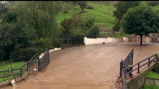 Removal of trees in La Habra Heights fire vs flood threat [upl. by Ahsieki]