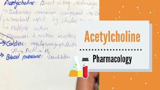 ACETYLCHOLINE  pharmacology  Cholinergic agonist [upl. by Custer]