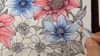 Daydreams dagdrommar  how to color flowers  part 3  prismacolor pencils [upl. by Valli]