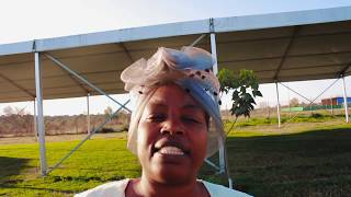 SONG FOR MAMA E SIBANDA [upl. by Rives]