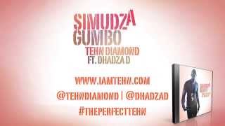 Tehn Diamond  quotSimudza Gumboquot ft Dhadza D LYRIC VIDEO [upl. by Brit]