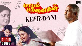 Keeravani Song  Paadum Paravaigal Movie  Ilaiyaraaja  Karthik  Bhanupriya  SPB  S Janaki [upl. by Kciredec415]