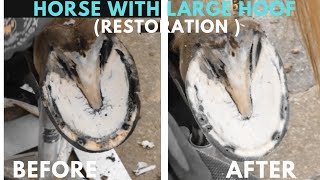 Shire Horse Complete restoration Shire Horse Restoration Compilation shirehorse huge massivehoof [upl. by Rider]