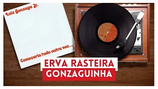 Gonzaguinha  Erva Rasteira Lyric [upl. by Atnauqal]