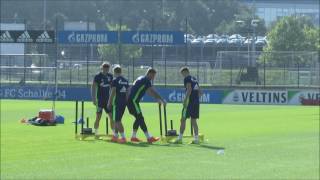 FC Schalke Training 02092016 [upl. by Olaznog]