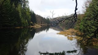 10 mile walk around Gwydir forest 18224 [upl. by Lime]