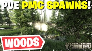 Escape From Tarkov PVE  All PMC Spawn Locations On Woods [upl. by Nodnas]