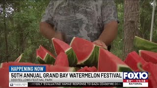 50th Annual Grand Bay Watermelon Festival happening today [upl. by Akenal]