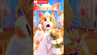 Accident during wedding of cat 😮 ytshorts youtubeshorts entertainment viralvideo [upl. by Aeirdna]