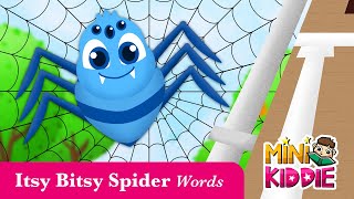 Itsy Bitsy Spider  Words to Learn for Kids  Nursery Rhymes  Mini Kiddie [upl. by Ysac]