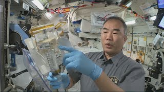 アジアンハーブ実験開始 Asian Herb in Space Experiment start [upl. by Wes]