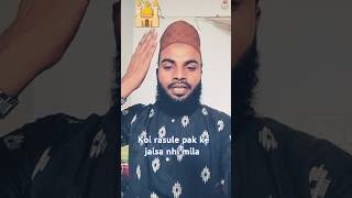 ye kah rhe hai bulbule Sidra nhi mila trending short allah islamicvideo sajidrazasiwani [upl. by Legnaesoj534]