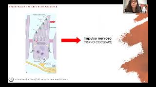 Anatomia e Fisiologia  Orecchio [upl. by Whall]