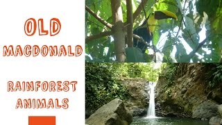 OLD MACDONALD HAD A FARM  RAINFOREST ANIMALS  Children Nursery Rhyme [upl. by Launcelot]