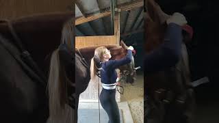 Started getting nervy for the show 😬 fyp horse saddleseat horseriding equestrian vlog [upl. by Bevus]