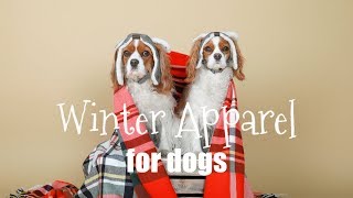 MUST HAVE WINTER APPAREL FOR DOGS  Vlogmas 3 [upl. by Amat]