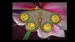 reproduction in flowering plants class 12 in 3D animation complete chapter in one short [upl. by Putnem404]