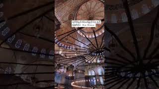 How beautifull blue mosque mosque travel istanbul turkey viralvideo [upl. by Lubet]