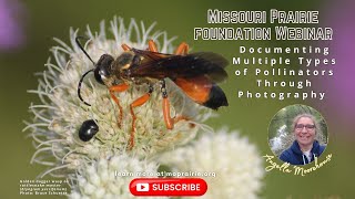 MPF Webinar Documenting Multiple Types of Pollinators Through Photography [upl. by Adela544]