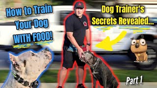 DO NOT TRAIN YOUR DOG WITH TREATS Professional Dog Trainer Food Training Secrets Revealed [upl. by Pamela]