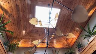 Nice and relaxing ceiling fan at the Cheddars Scratch kitchen in Mount Juliet Tennessee [upl. by Ahtiek]