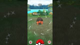 Catching of shiny ✨ dwebble in Pokemon go 🥳 [upl. by Eimarrej382]