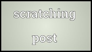 Scratching post Meaning [upl. by Ezri]